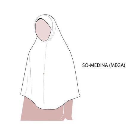 SO-MEDINA in COSMIC